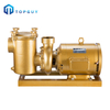 Pompe de circulation de moteur de filtre de pompe de piscine de haute performance