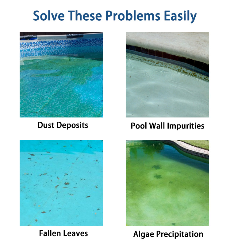 Robot nettoyeur de piscine Dolphin Premier