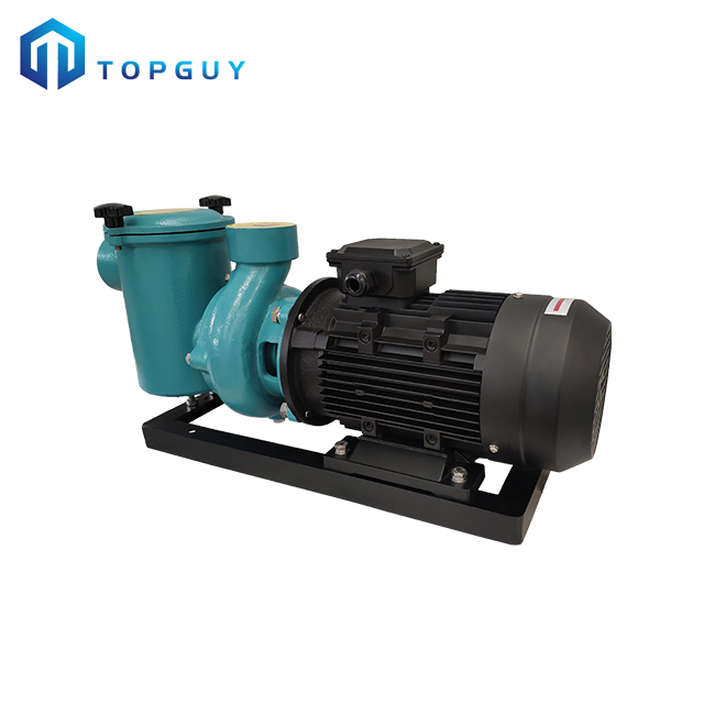 Pompes à eau de piscine premium par piscine Topguy 