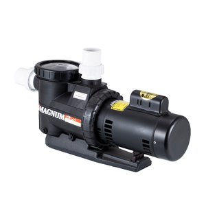 Pompe de filtre à eau électrique haute pression pour piscine privée, pompe hydraulique commerciale avec filtre à sable, populaire