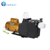 Prix ​​d'usine pompe à eau électrique Hayward de haute qualité pompe de filtre de piscine