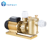 Pompe de filtre d'épurateur d'eau électrique de piscine de surface