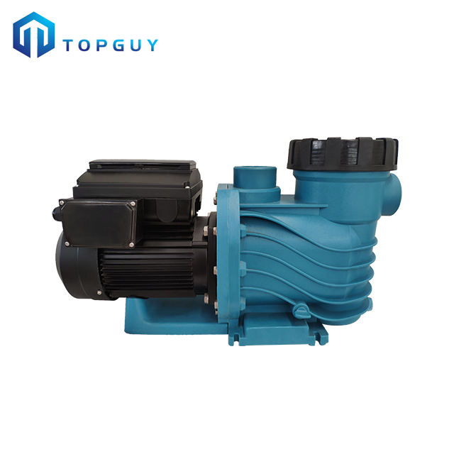 pompe de puisard pour piscine