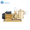 Pompe de filtre d'épurateur d'eau électrique de piscine de surface